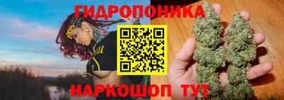 a pvp Усть-Джегута